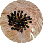 matite-con-semini-fiori-di-farfalle-tappino-nero-black