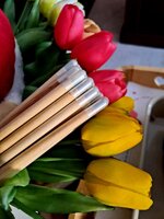 kit-composto-da-20-matite-con-semini-di-farfalle-4-assortimenti-disponibili