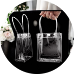 borsetta-trasparente-cm-23x16x7