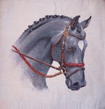 cuscino-arredo-40x40-cm-ca-tinta-unita-discavallo