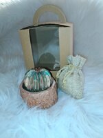 bomboniera-tronchetto-in-gesso-alabastrino-65x35-cm-color-legno