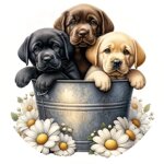 dtf-labrador-baby