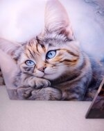 set-composto-da-n4-mattonella-sublimabile-in-ceramica-cm-15x15