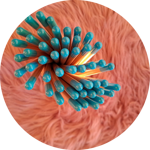 matite-con-semini-fiori-di-farfalle-tappino-celeste-baby