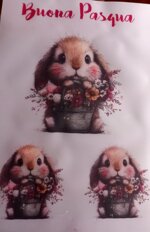 dtf-varie-misure-5x5-10x10-e-15x20