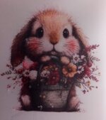 dtf-varie-misure-5x5-10x10-e-15x20