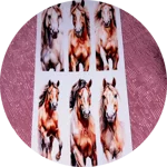 set-composto-da-n6-segnalibro-n6-cartoncino-cm-155x4-e-pennacchio-n6-dtf-uv