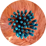 matite-con-semini-fiori-di-farfalle-tappino-azzurro-kristal