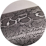 tessuto-in-cotone-arredo-cm260x280-fantasia-pitonata-bianca-e-nera