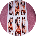 6-adesivi-uv-dtf-disegno-cavalli-cm-11x3-assortiti
