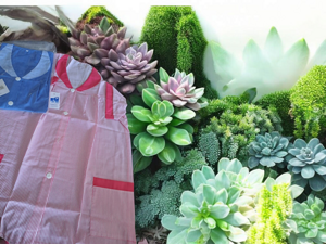 grembiule-da-maestra