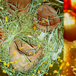 bomboniera-vasetto-angioletto-9106cm-in-polvere-di-cotto