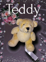 set-composto-da-n5-orsetto-teddy-in-velluto-cm-11x11-color-naturale-etichetta-bianca-sublimabil