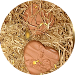 bomboniera-cuore-portafortuna-6-cm-in-polvere-di-cotto