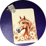 targhetta-con-portachiavi-cm6x4-personalizzata