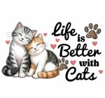 vita-da-gatti