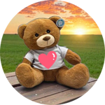 set-composto-da-n4-orsetto-peluche-teddy-cm-33x27-seduto-con-t-shirt-sublimabile