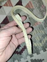 passamaneria-a-metraggio-cordone-1-cm-avorio