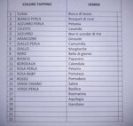 mini-matite-cilindriche-9-cm-con-semini-e-tappino-colorato