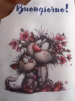 dtf-varie-misure-5x5-10x10-e-15x20