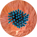 matite-con-semini-fiori-di-farfalle-tappino-azzurro