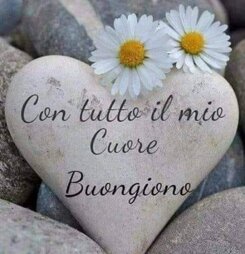 074c4f1e-0a0c-4a29-894e-a9a33a70c918