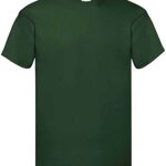 t-shirt-fruit-unisex-mezza-manica-colore-verde-speranza