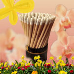 kit-composto-da-20-matite-con-semini-di-farfalle-4-assortimenti-disponibili