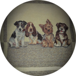 cuscino-cm45x45-disegno-cagnolini