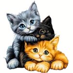 tris-gattini