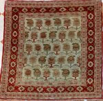 tappeto-pakistan-shirwan-design-147x146