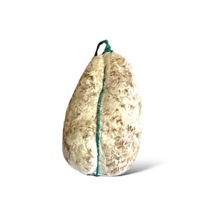 ciliani-coglioni-di-mulo