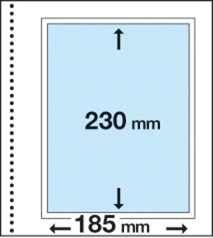 fogli-primato