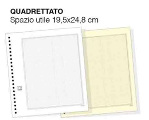 fogli-airone-quadrettato