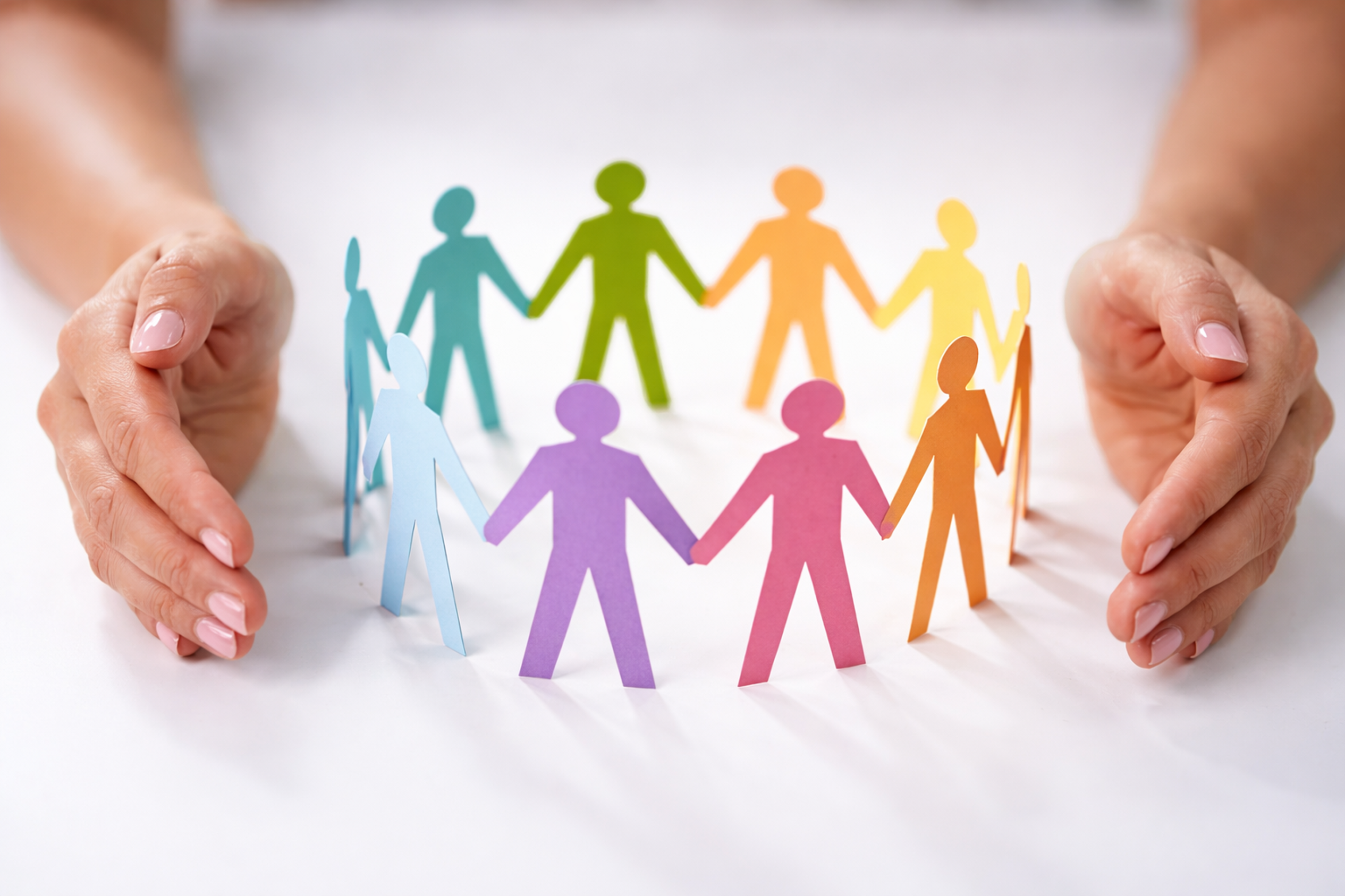 ccd561db-b459-4fb0-9fd9-451ebe92ee93 ccd561db-b459-4fb0-9fd9-451ebe92ee93