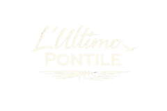 logo_up-removebg-preview logo_up-removebg-preview