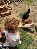 attivita-baby-laboratori-didattici