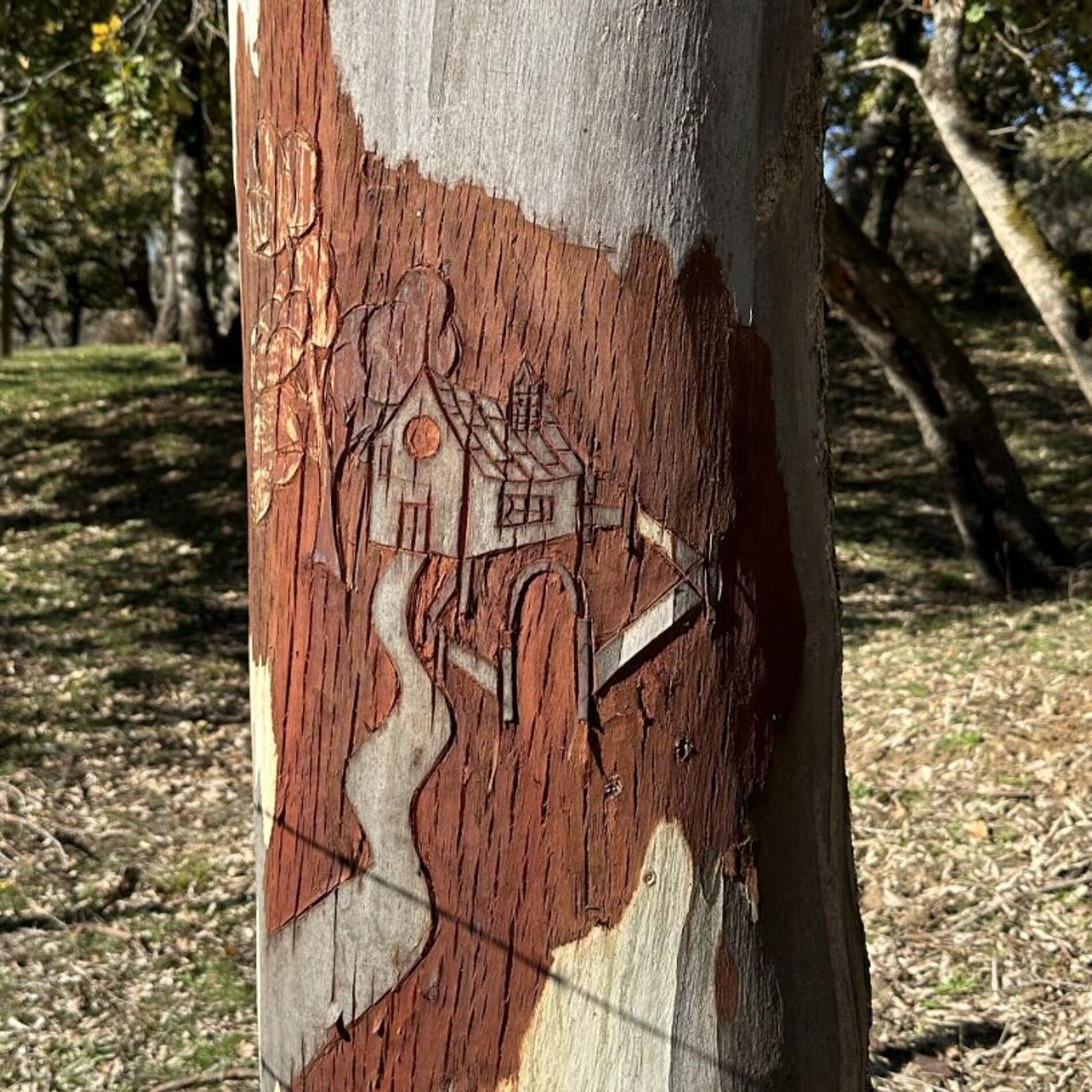 5366b582-9bb1-4afb-a2b8-0b81da66830e.jpeg 5366b582-9bb1-4afb-a2b8-0b81da66830e.jpeg