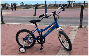 bici-ninonina