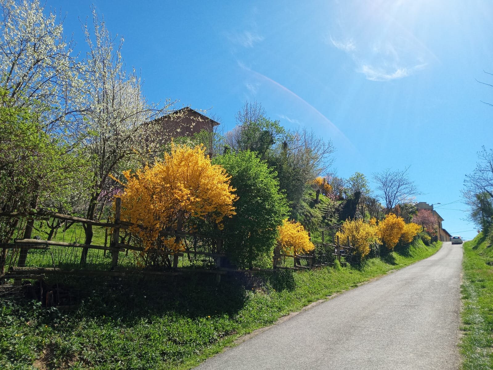 COUNSELLING ENTRE EL AMOR Y LA CULPA