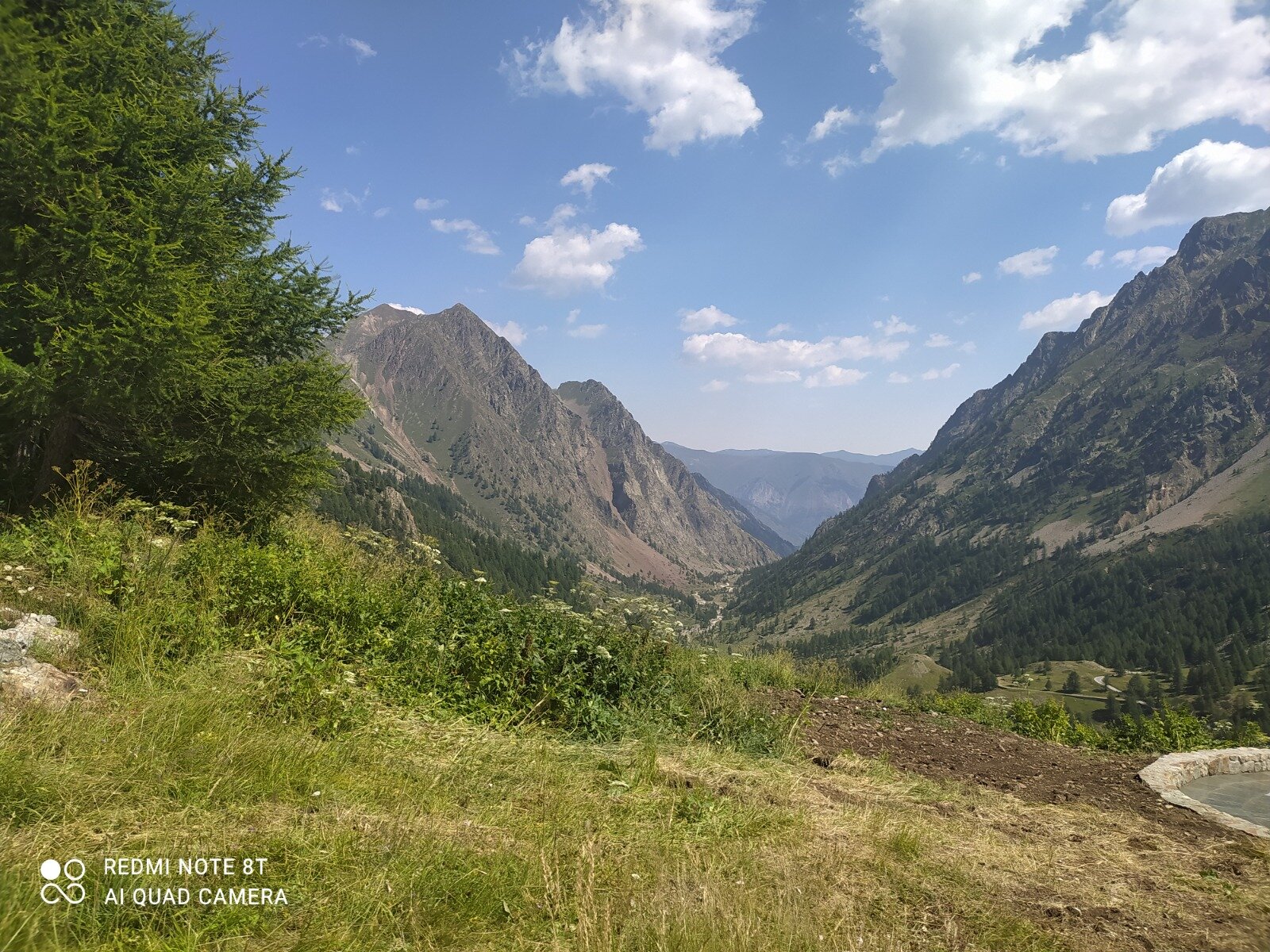 ACTUALIDAD SOBRE EL SUICIDIO ACTUALIDAD SOBRE EL SUICIDIO