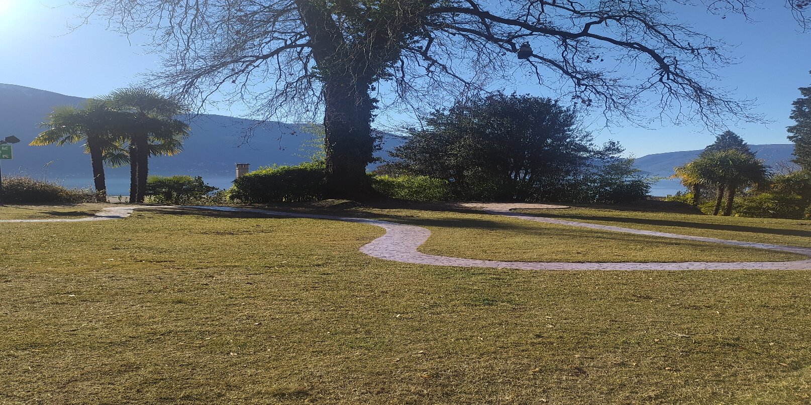 &iquest;PORQUE BUSCAR ATENCION PSICOLOGICA?