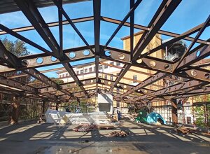 img_0295.jpeg img_0295.jpeg