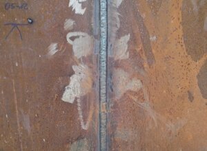 img_1800.jpeg img_1800.jpeg