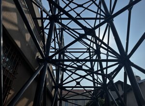 img_8483.jpeg img_8483.jpeg