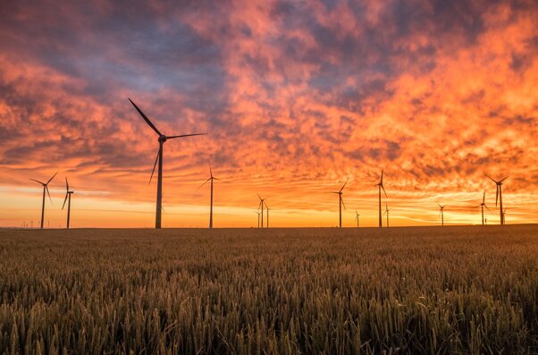 pexels-windmills-1838788_1920.jpeg pexels-windmills-1838788_1920.jpeg