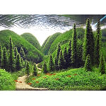 piante-vere-vive-pianta-per-acquario-acqua-dolce-tropicale-muschio-di-java-giava