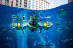 biglietti-per-aquaventure-waterpark-e-lost-chambers-aquarium