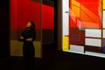 biglietti-per-il-frameless-immersive-art-experience