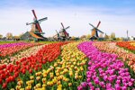 go-city-pass-all-inclusive-di-amsterdam